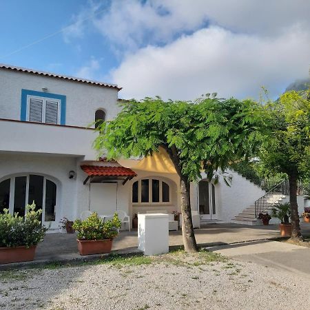 לינה וארוחת בוקר Forio di Ischia Cocos Park Ischia מראה חיצוני תמונה